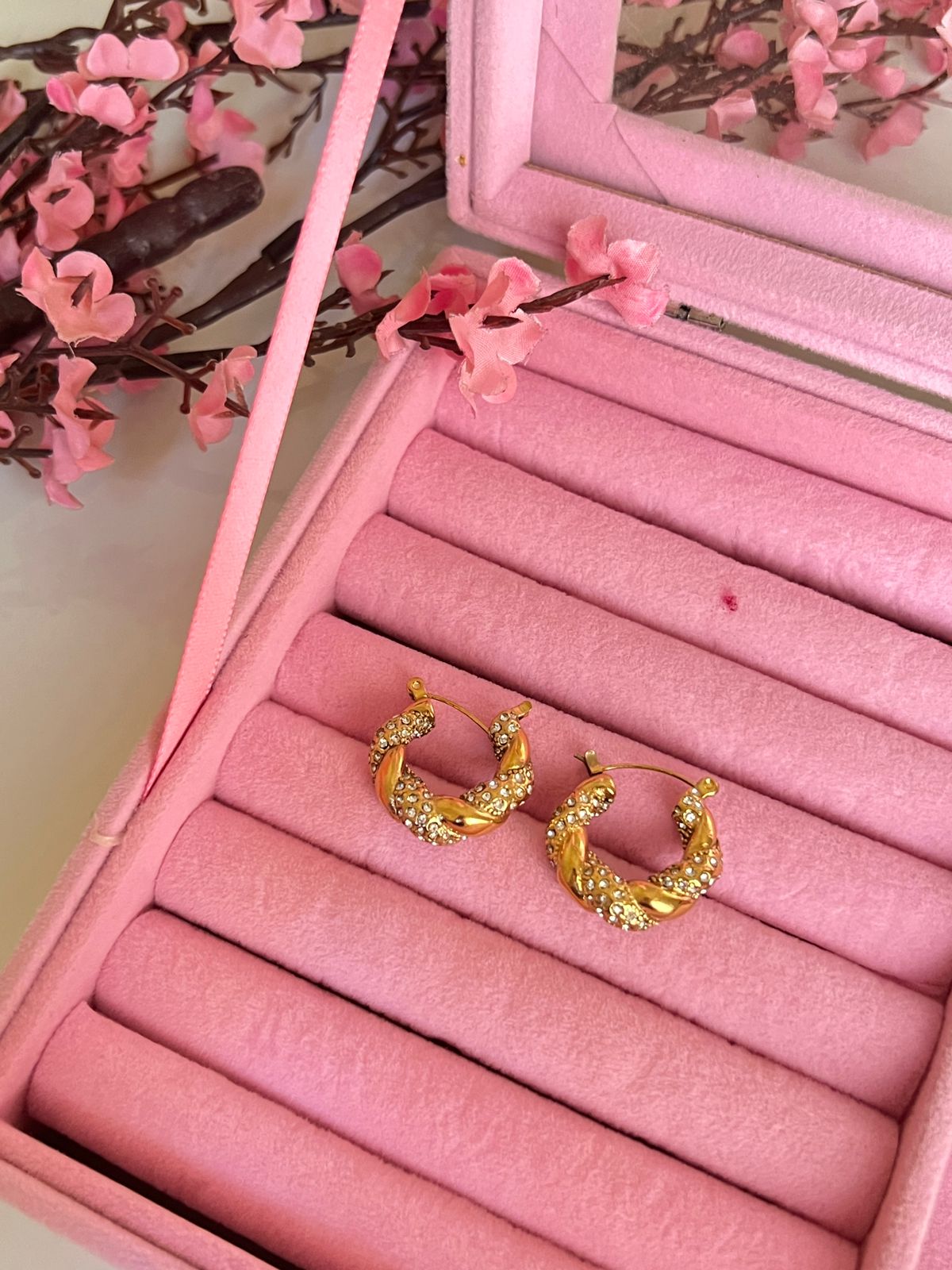 Encrusted hoops